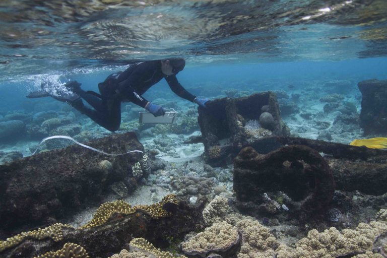 A snorkeller inspecting concreted iron artefacts