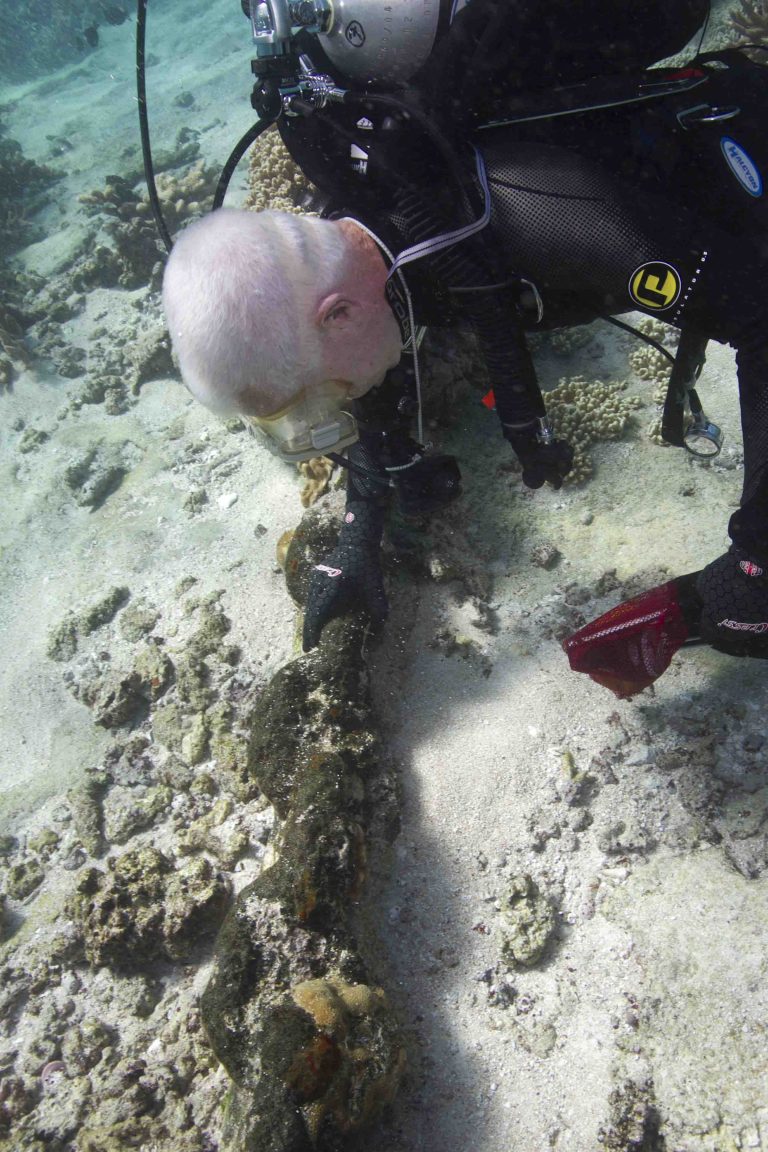 An archaeologist inspecting a concreted iron artefact
