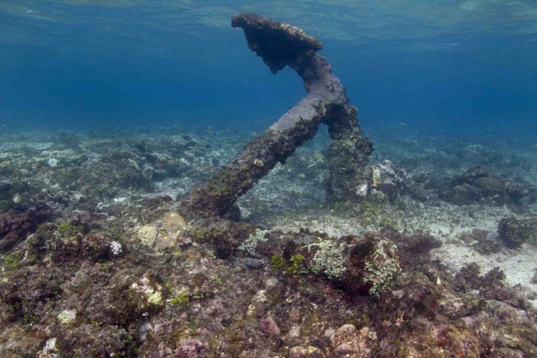 An anchor standing upright on the reef underwater