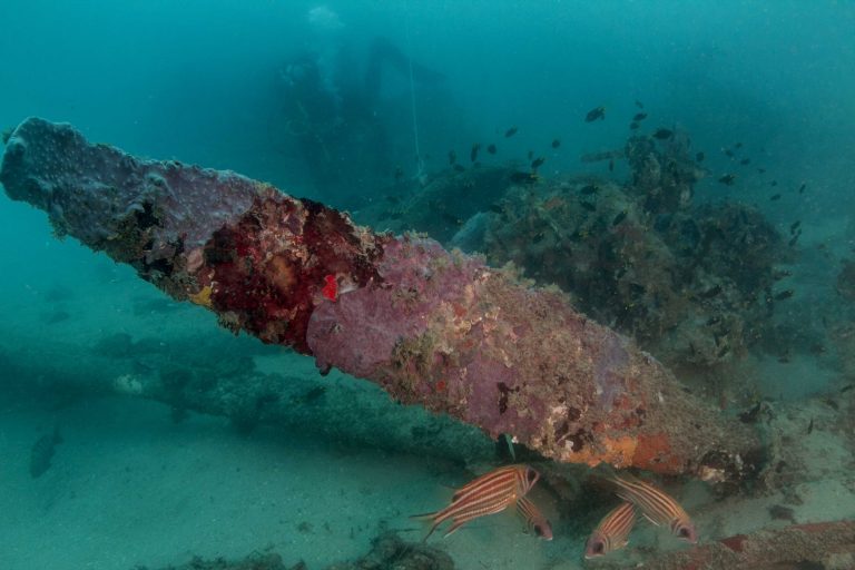 The crown of a concreted anchor underwater