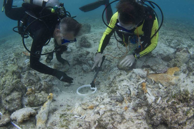 Divers searching underwater with a handheld magnetometer