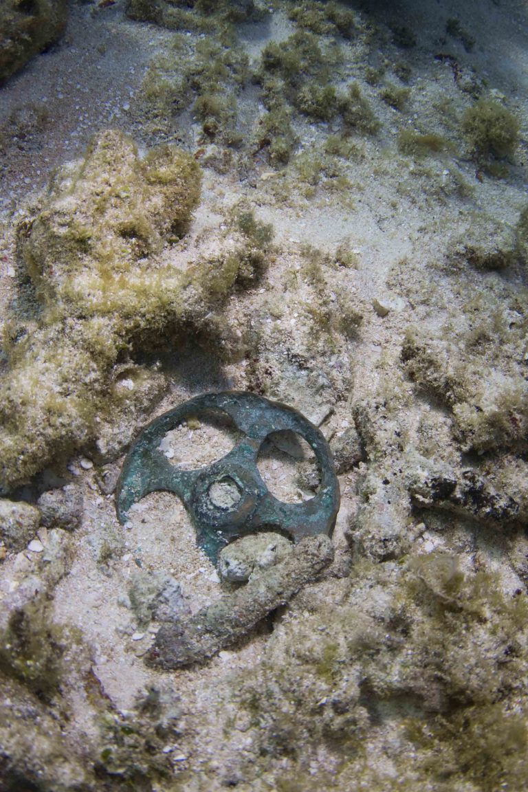 A copper alloy pulley sheave on the seabed