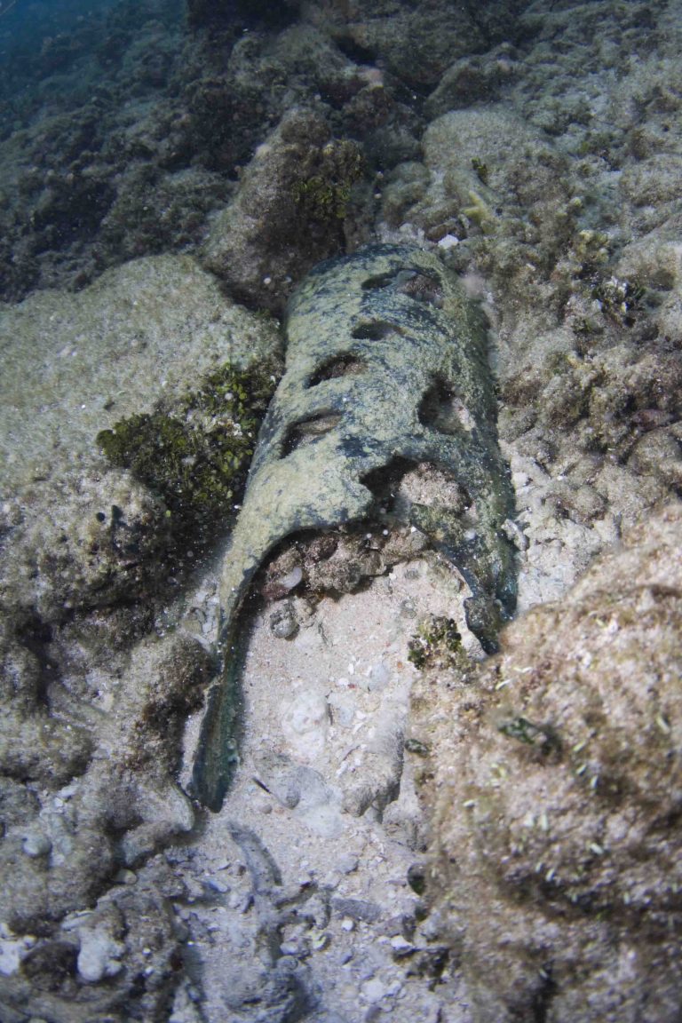 A concreted object among the coral