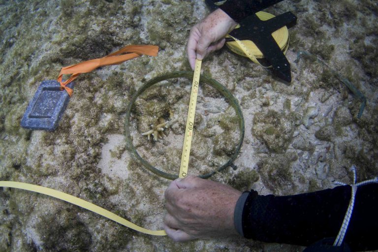 A diver measuring an artefact underwater