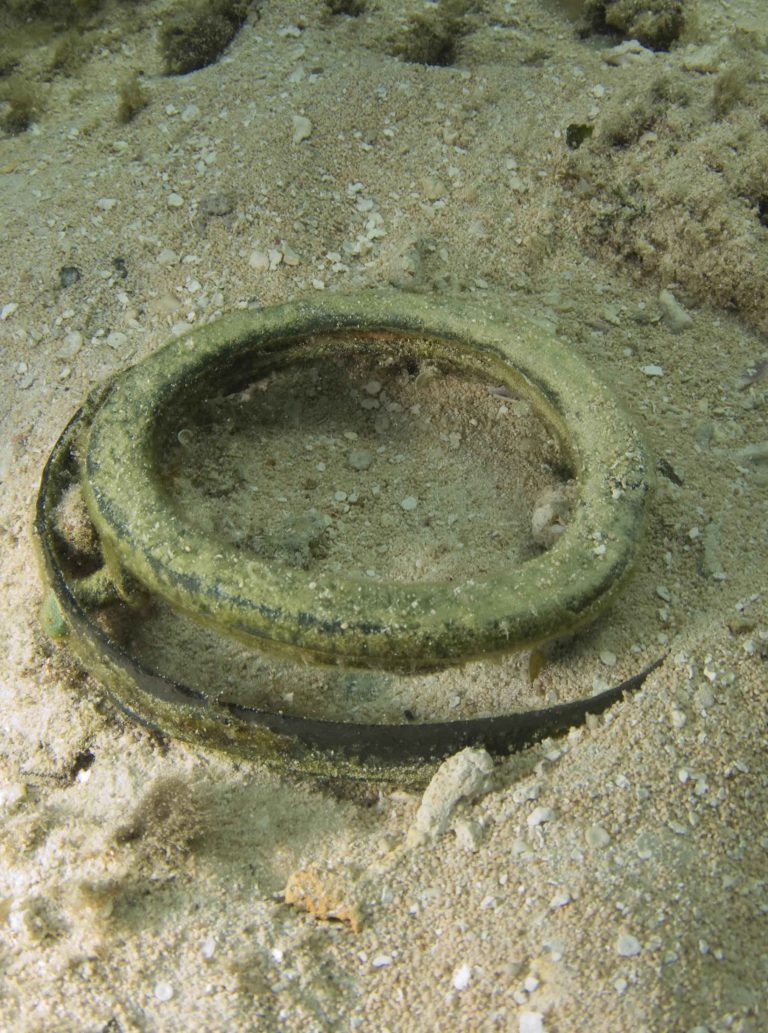 A circular artefact lying on the sandy seabed