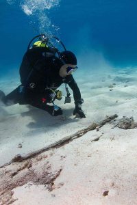 Diver inspecting partially exposed timber section on sandy bottom.