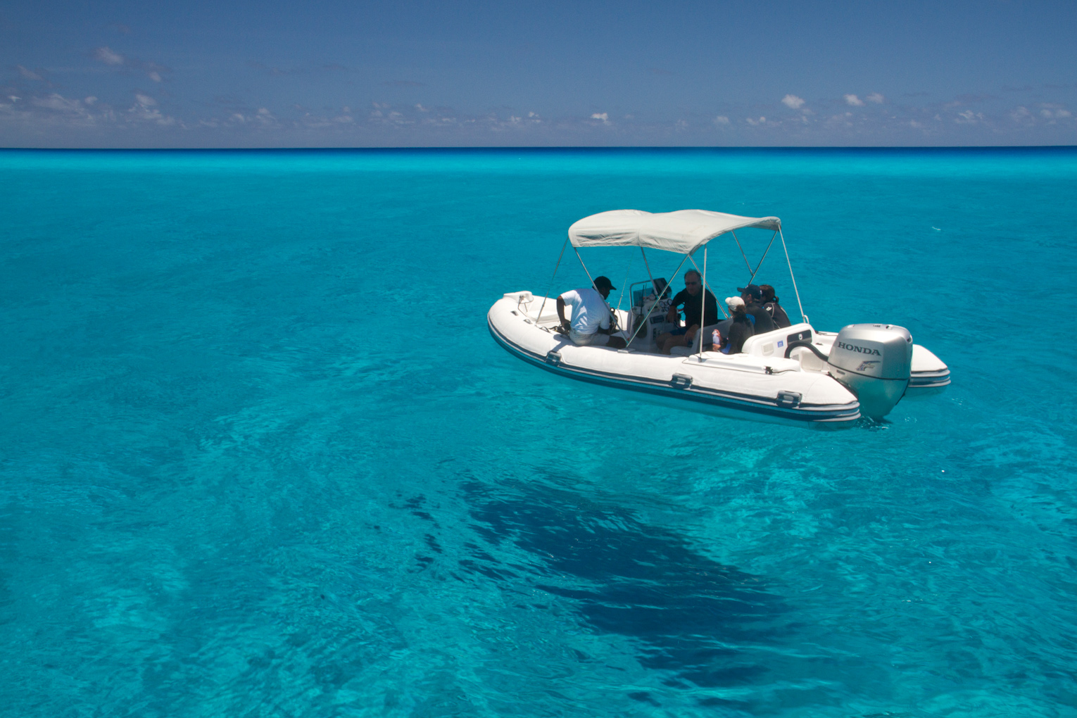 Silentworld Coral Sea expedition, 2012. Photo: Xanthe Rivett