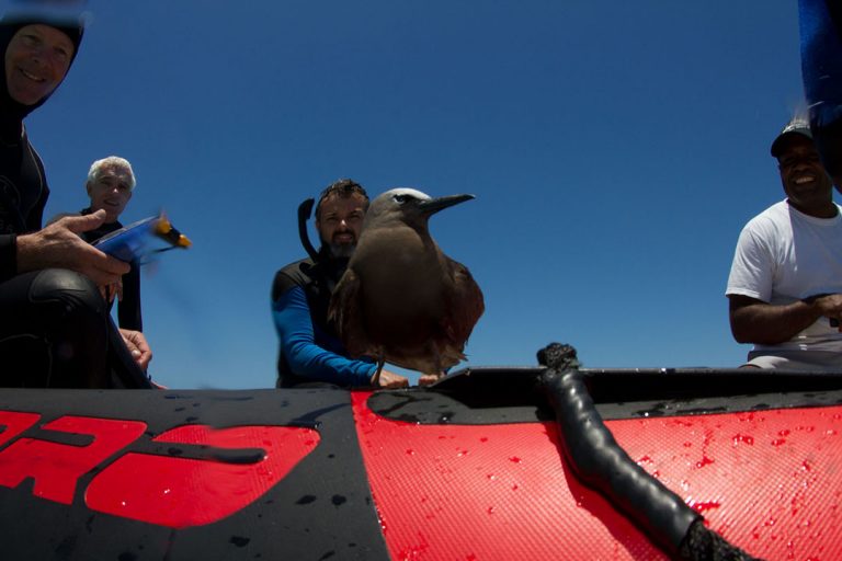 James Hunter with a sea bird