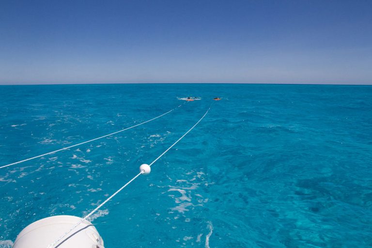 Snorkellers on manta boards towed behind a boat