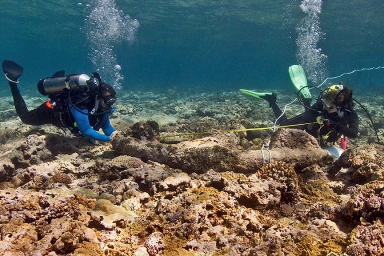 Divers recording an anchor on the reef top