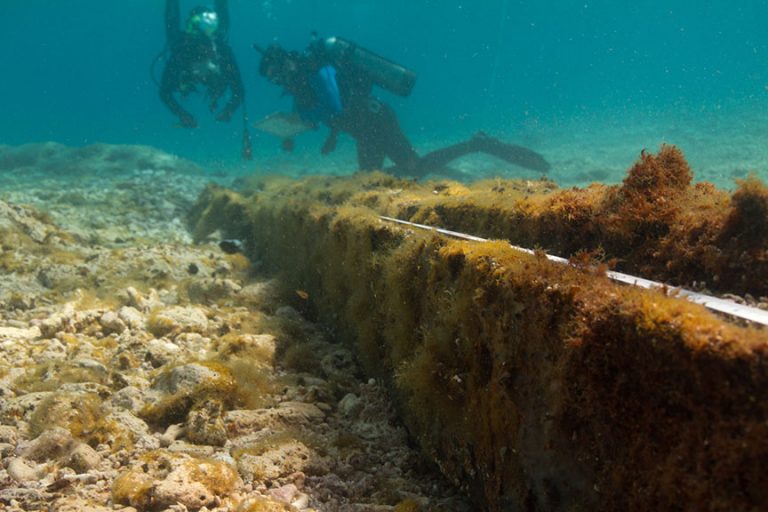 Divers recording a wooden keel section