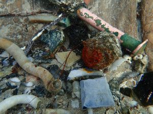 A collection of debris and artefacts collected in a groove between hull timbers. Includes copper alloy bolt, flint, blue and white transfer ware sherd, stonware sherd and free calcareous shipworm tunnel lining tubes. copyright: Irini Malliaros/Silentworld Foundation