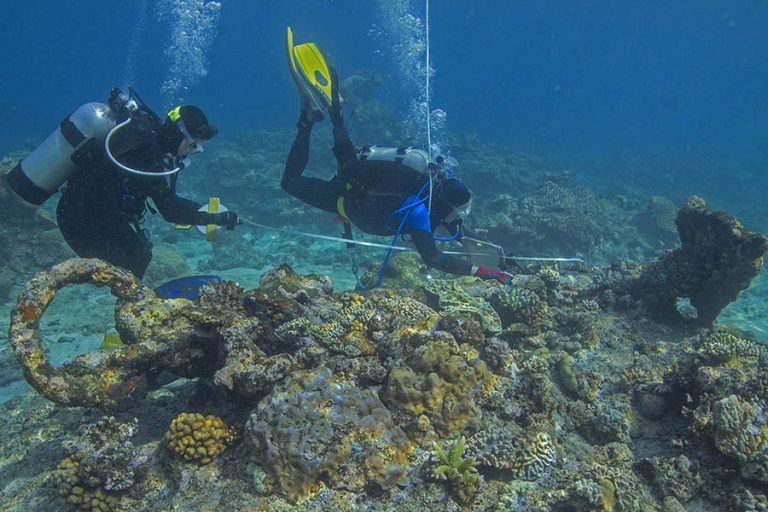 A diver laying out a baseline on the reef