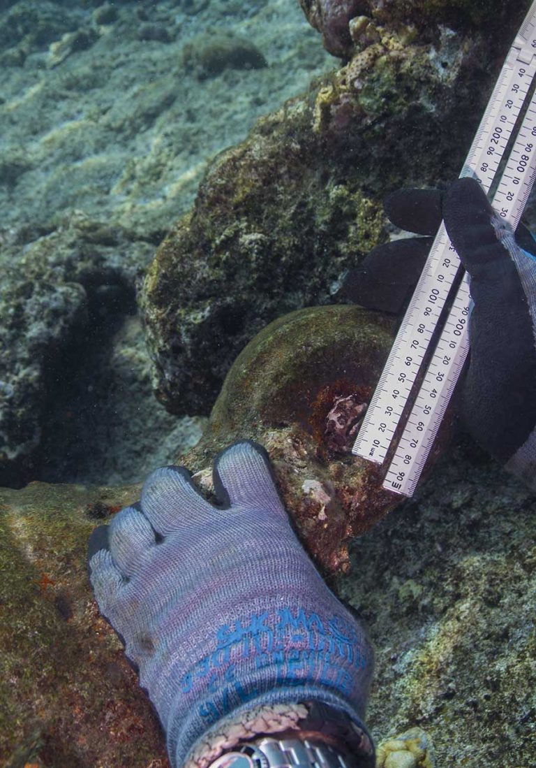 A diver recording features of the site