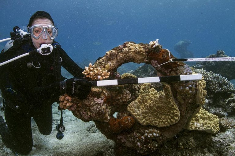 A diver holding a scale against an anchor ring