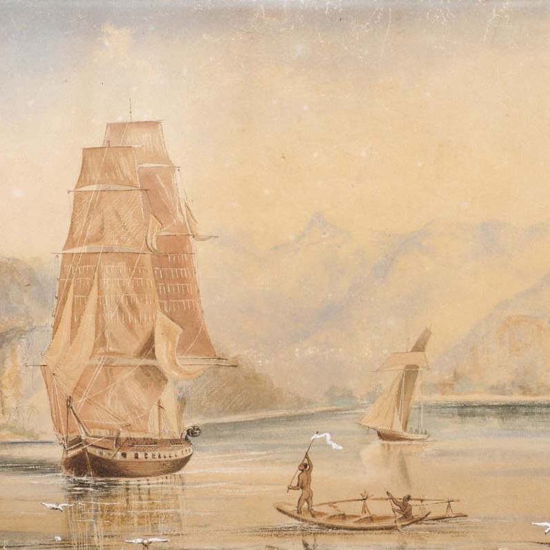 fly and undine in dillons bay