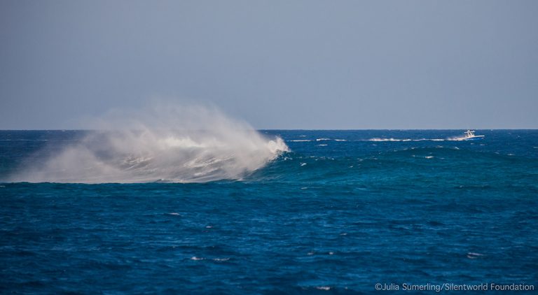 Waves breaking over the reef just below the surface