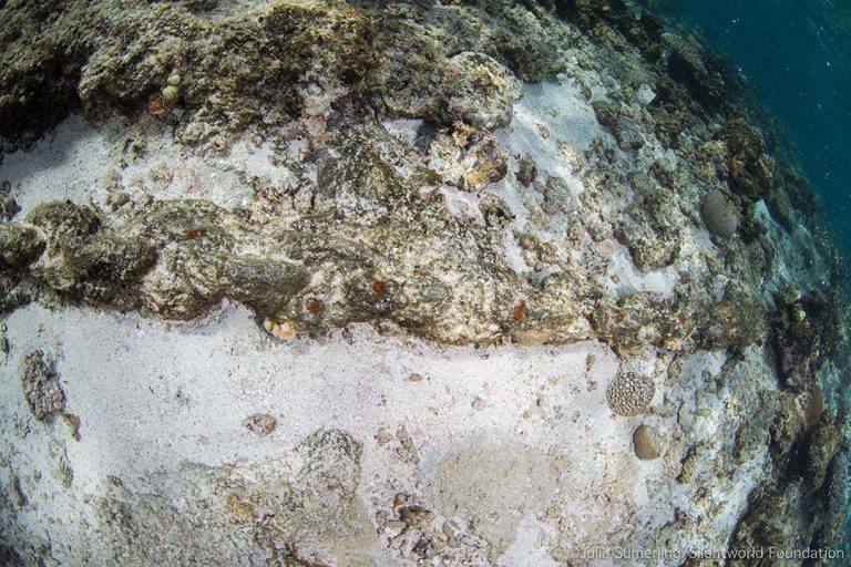 A run of iron chain on the reef