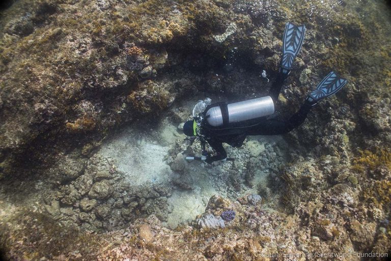A diver searching a reef groove for small artefacts