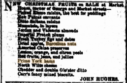 New christmas fuits sale list from SMH 1856