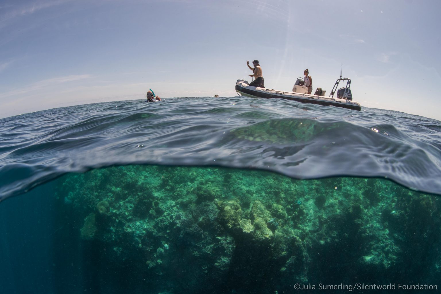 Split view above and below the water at Boot Reef: crew in a small boat above, coral reef below