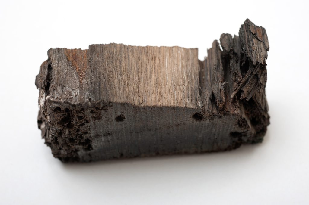 Wooden fragment from the Rudder of the BOUNTY