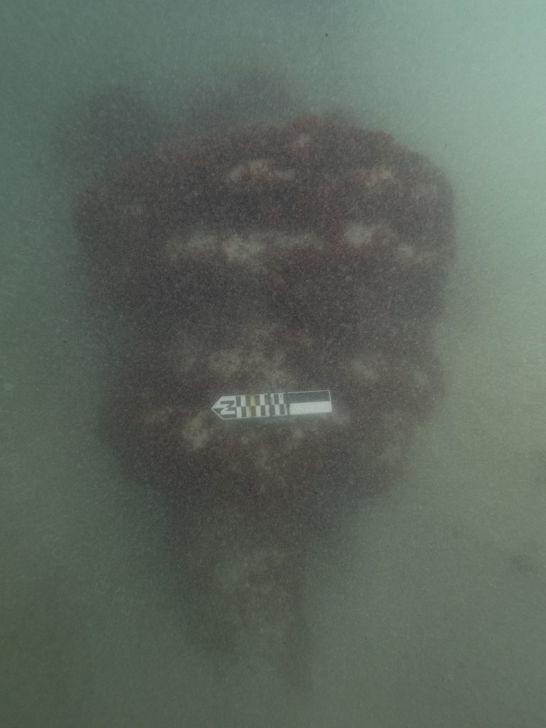 Close view of iron windlass components on the seabed